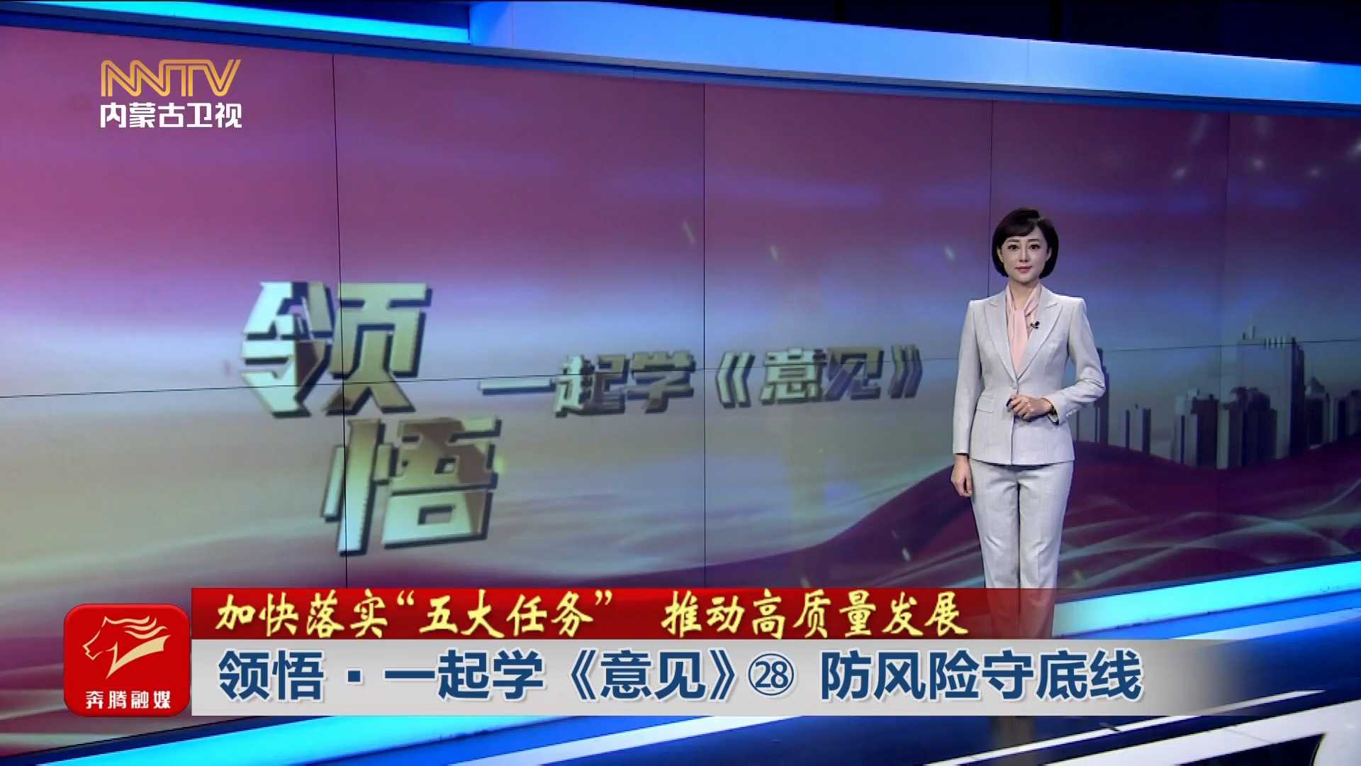 加快落實“五大任務(wù)” 推動高質(zhì)量發(fā)展丨 領(lǐng)悟·一起學(xué)《意見》? 防風(fēng)險守底線