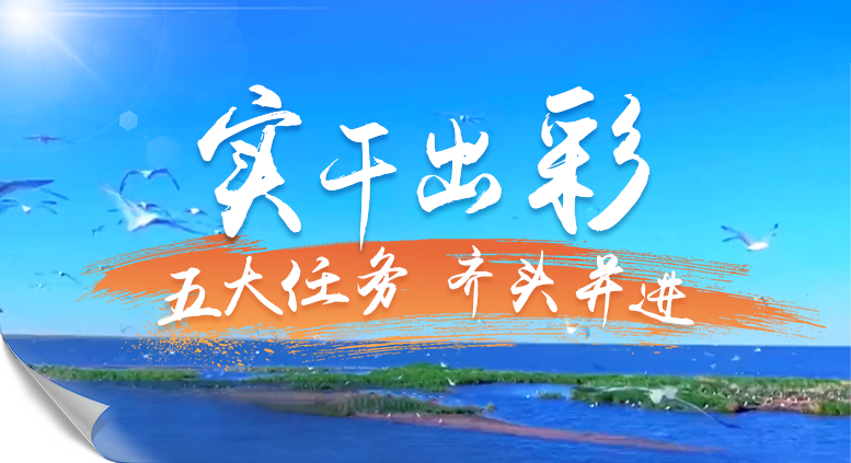 實干出彩 · 五大任務(wù)齊頭并進